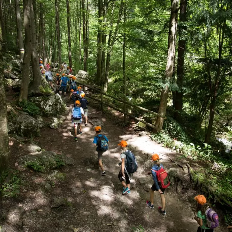 Excursion Group